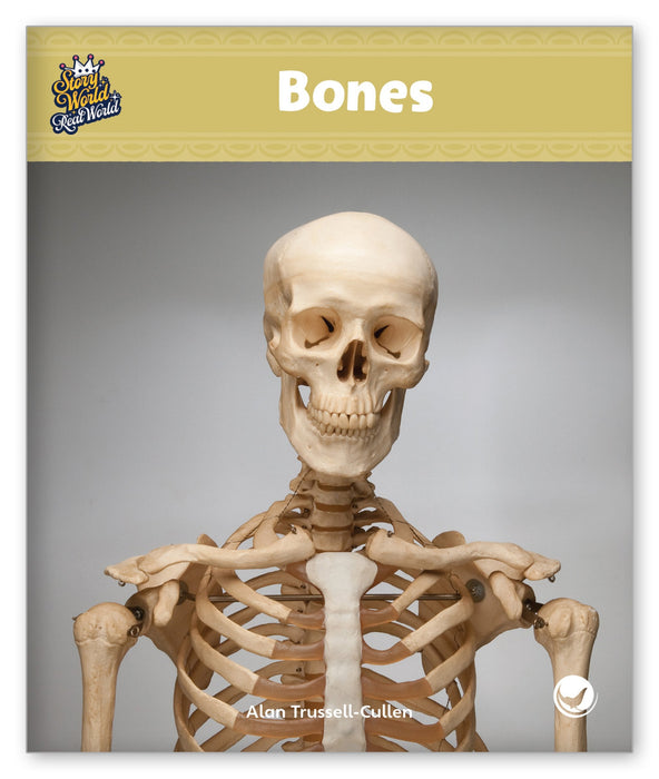 Bones from Story World Real World