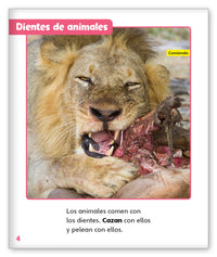 Dientes estupendos from Mundo de los Cuentos Mundo Real