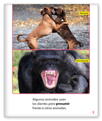 Dientes estupendos from Mundo de los Cuentos Mundo Real