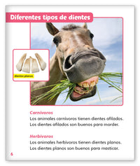 Dientes estupendos from Mundo de los Cuentos Mundo Real