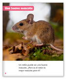 El ratón como mascota from Mundo de los Cuentos Mundo Real