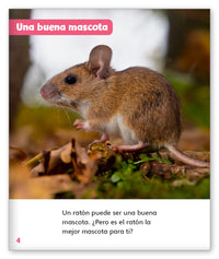 El ratón como mascota from Mundo de los Cuentos Mundo Real