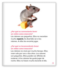 El ratón como mascota from Mundo de los Cuentos Mundo Real