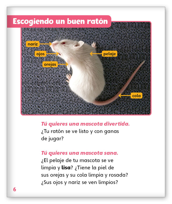 El ratón como mascota from Mundo de los Cuentos Mundo Real