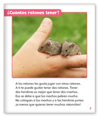 El ratón como mascota from Mundo de los Cuentos Mundo Real