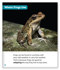 Fantastic Frogs from Story World Real World