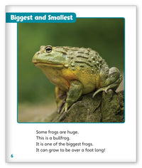 Fantastic Frogs from Story World Real World