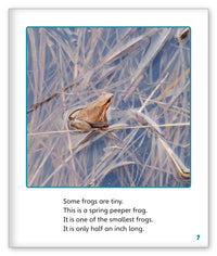 Fantastic Frogs from Story World Real World