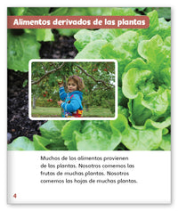 Granos estupendos from Mundo de los Cuentos Mundo Real