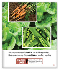 Granos estupendos from Mundo de los Cuentos Mundo Real