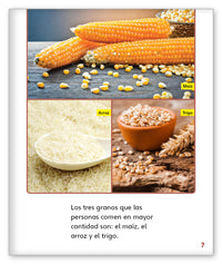 Granos estupendos from Mundo de los Cuentos Mundo Real