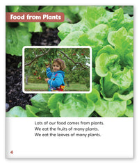 Great Grains from Story World Real World