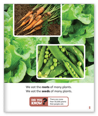 Great Grains from Story World Real World