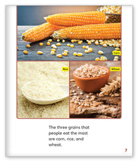 Great Grains from Story World Real World