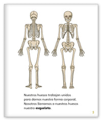 Huesos from Mundo de los Cuentos Mundo Real