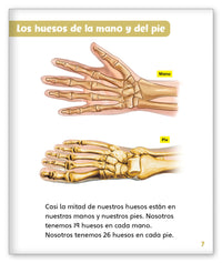 Huesos from Mundo de los Cuentos Mundo Real