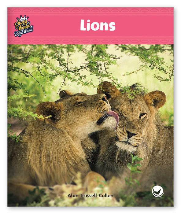 Lions from Story World Real World