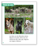 Lobos salvajes from Mundo de los Cuentos Mundo Real