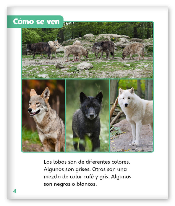 Lobos salvajes from Mundo de los Cuentos Mundo Real