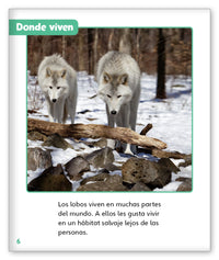 Lobos salvajes from Mundo de los Cuentos Mundo Real