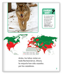 Lobos salvajes from Mundo de los Cuentos Mundo Real