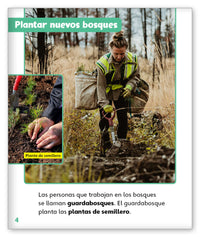 ¡Madera para construir! from Mundo de los Cuentos Mundo Real