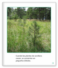 ¡Madera para construir! from Mundo de los Cuentos Mundo Real