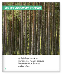 ¡Madera para construir! from Mundo de los Cuentos Mundo Real