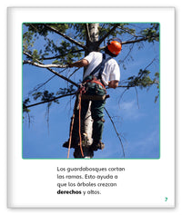 ¡Madera para construir! from Mundo de los Cuentos Mundo Real