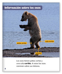 Osos from Mundo de los Cuentos Mundo Real