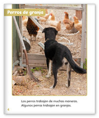 Perros trabajadores from Mundo de los Cuentos Mundo Real