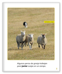 Perros trabajadores from Mundo de los Cuentos Mundo Real