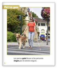 Perros trabajadores from Mundo de los Cuentos Mundo Real