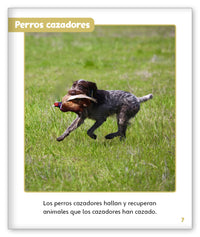 Perros trabajadores from Mundo de los Cuentos Mundo Real