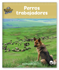 Perros trabajadores from Mundo de los Cuentos Mundo Real