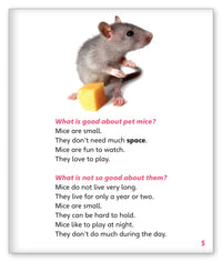 Pet Mice from Story World Real World
