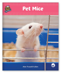 Pet Mice from Story World Real World
