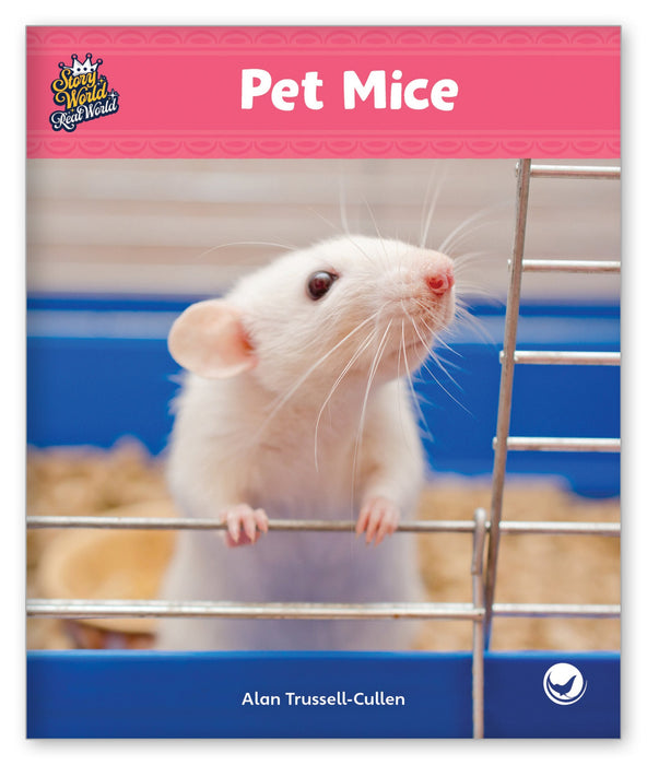 Pet Mice from Story World Real World