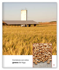 ¿Quién hizo nuestro desayuno? from Mundo de los Cuentos Mundo Real