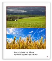 ¿Quién hizo nuestro desayuno? from Mundo de los Cuentos Mundo Real