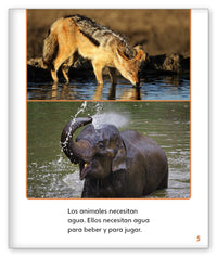 ¿Quién necesita agua? from Mundo de los Cuentos Mundo Real