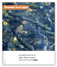 ¿Quién necesita agua? from Mundo de los Cuentos Mundo Real