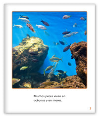 ¿Quién necesita agua? from Mundo de los Cuentos Mundo Real