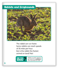 Run! Run! As Fast As You Can! from Story World Real World