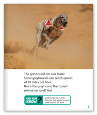 Run! Run! As Fast As You Can! from Story World Real World