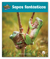 Sapos fantásticos from Mundo de los Cuentos Mundo Real