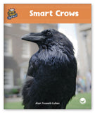 Smart Crows from Story World Real World
