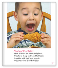 Terrific Teeth from Story World Real World