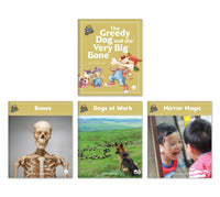 The Greedy Dog and the Very Big Bone Theme Set from Story World Real World