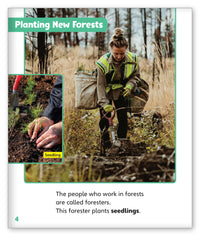 Timber! from Story World Real World